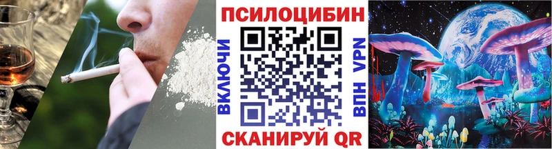 mega зеркало  Барыш  Галлюциногенные грибы Psilocybe 